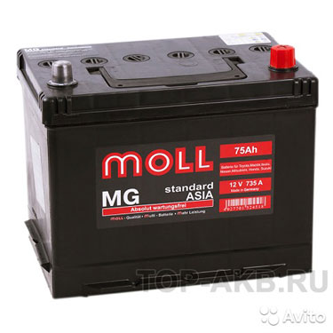 Аккумулятор Moll MG Standard Asia 75R 735A 250x170